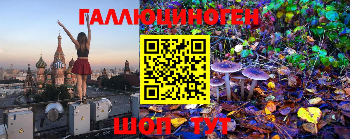 Галлюциногенные грибы Psilocybe Шатура