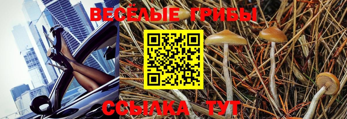 Шатура  Галлюциногенные грибы прущие грибы  Вход с VPN  Псилоцибиновые грибы мицелий 